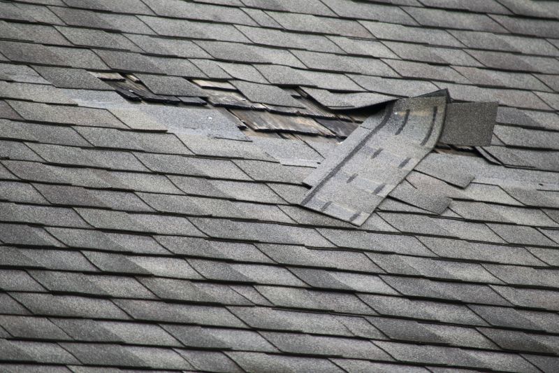 Signs You Need Roofing Service